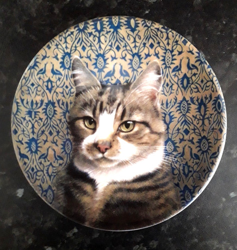 Royal worcester ivory cats - worcester,